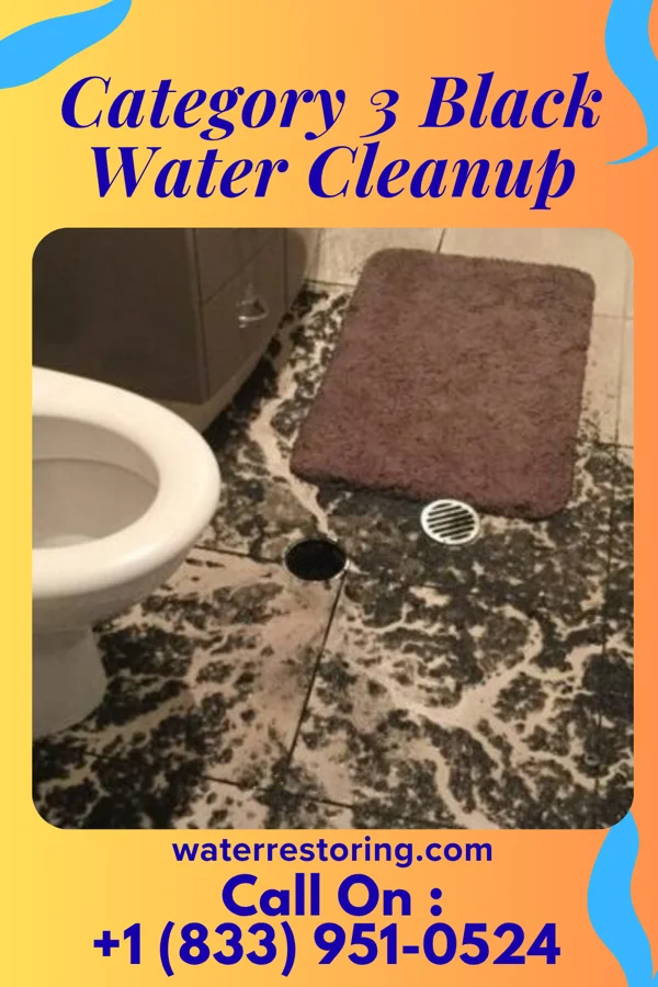 Category 3 Black Water Cleanup in Schoeneck, PA