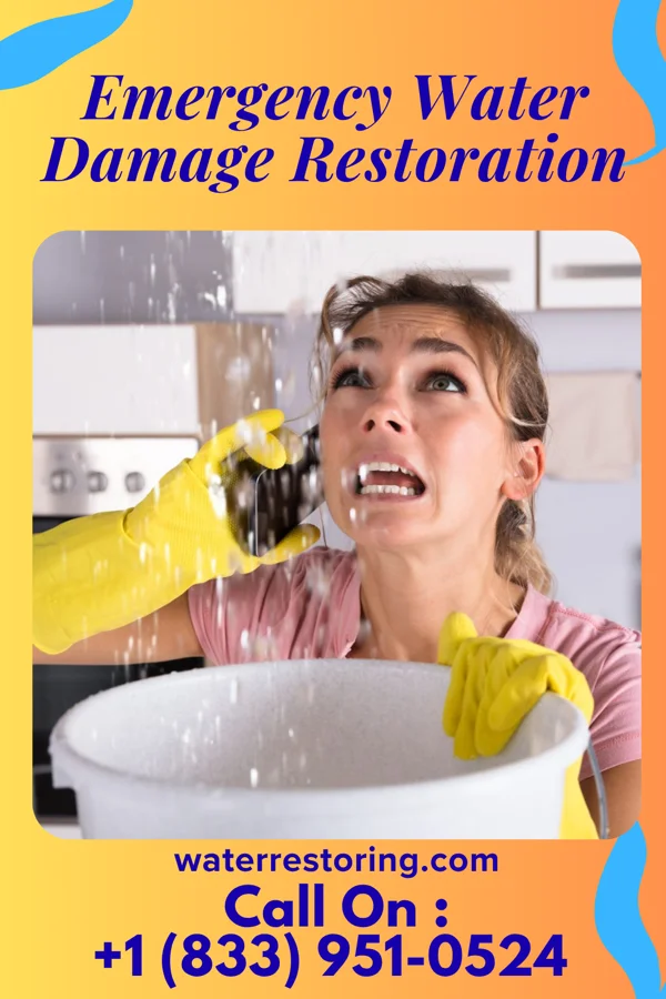 Emergency Water Damage Restoration in Schoeneck, PA