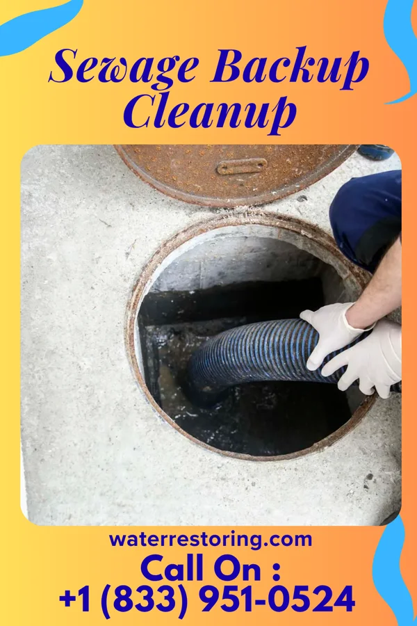 Sewage Backup Cleanup in Schoeneck, PA